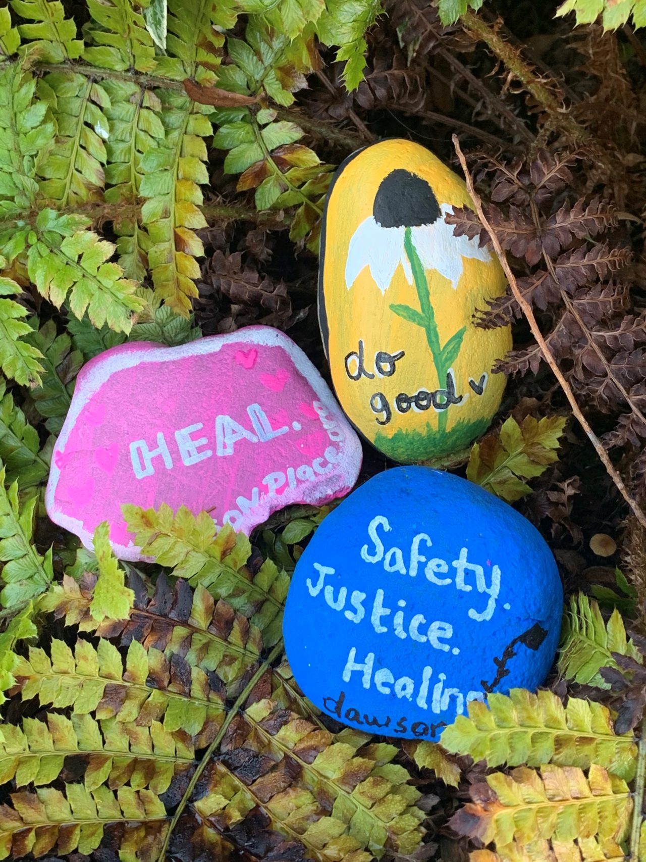 Kindness Rocks for World Kindness DayKindness Rocks for World Kindness